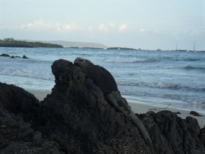 Turismo en America Latina - Galápagos